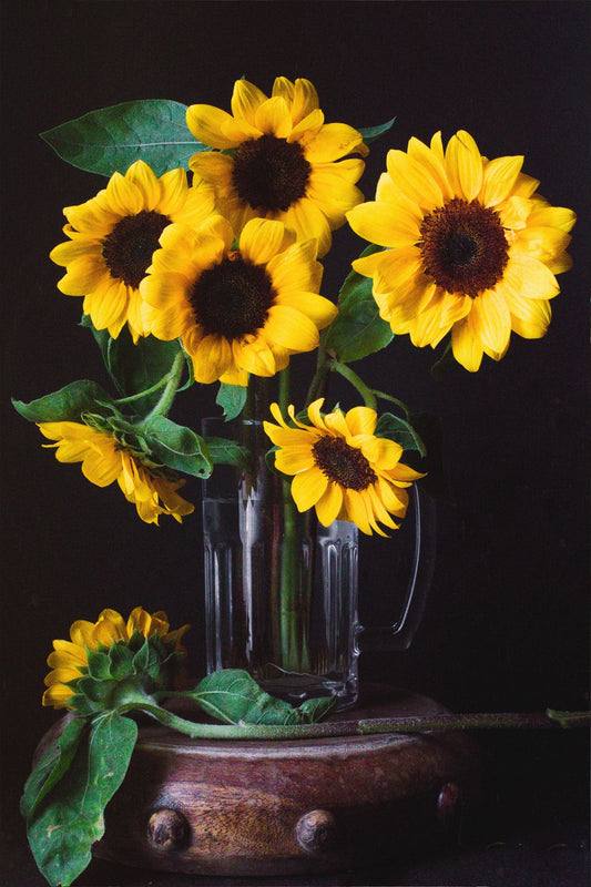 Sunflowers in Wilderness 2 Print