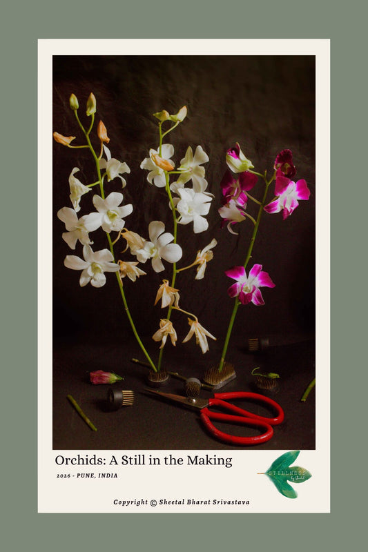 "Orchids: A Still in the Making" Print - Floral Wall Art Decor