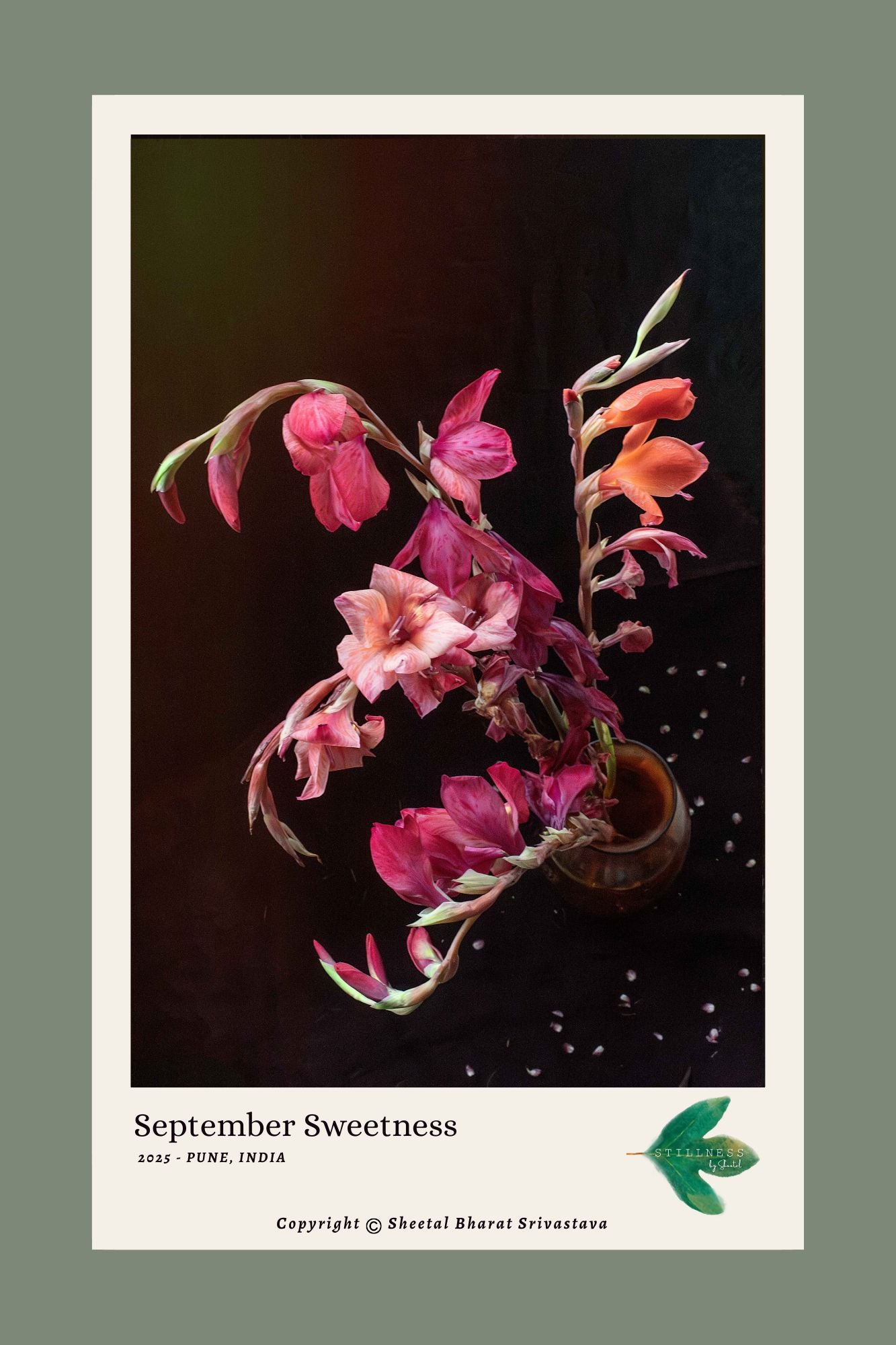 Photograph of a Floral arrangement with pink and orange Gladiolus flowers on a dark background, labeled 'September Sweetness'.