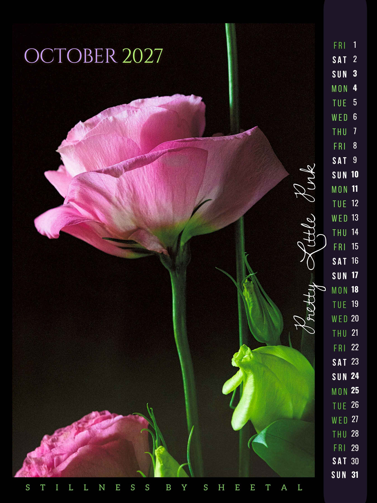 October calendar page, "Pretty Little Pink" — a close-up of a pink lisianthus bloom in profile against black, with unopened green buds below, fine art still life photograph by Stillness by Sheetal