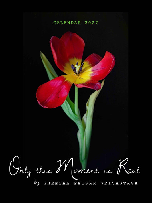"Only This Moment Is Real" 2027 desk calendar cover, a red and yellow tulip in bloom against a black background, fine art still life photography by Stillness by Sheetal for corporate Diwali gifting