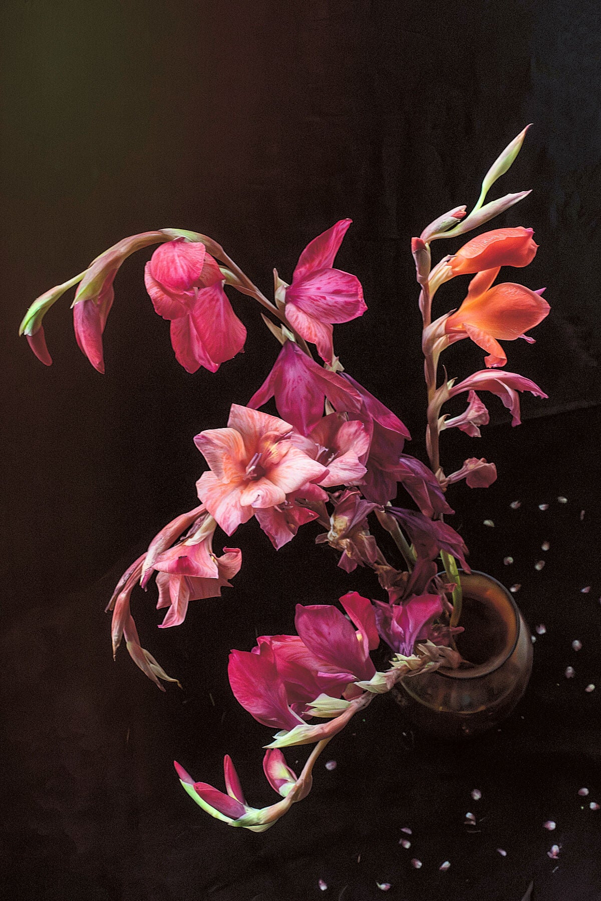 September Sweetness floral photography print