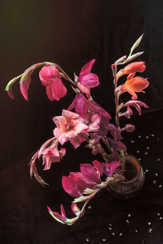 September Sweetness floral photography print