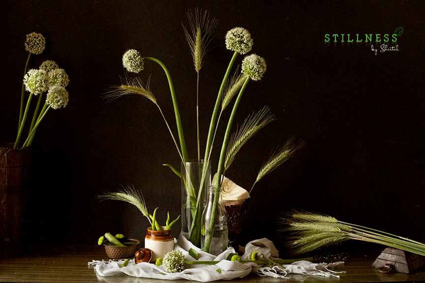 Take Me to the Fields (2021) - Allium globes and wheat stalks in glass vases with rustic pot and white cloth on wooden surface, fine art print by Stillness by Sheetal
