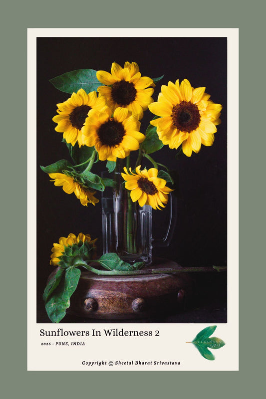 Sunflowers in Wilderness 2 Print