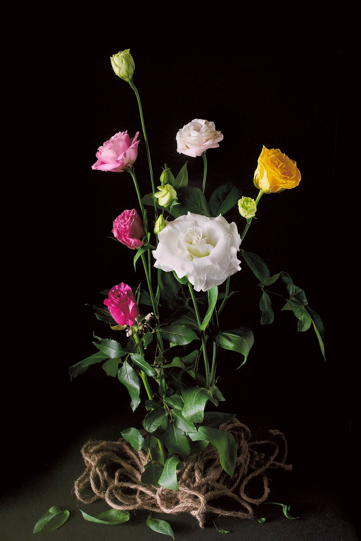 Hello Joy floral photography print