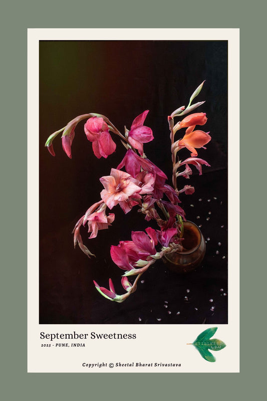 Photograph of a Floral arrangement with pink and orange Gladiolus flowers on a dark background, labeled 'September Sweetness'.