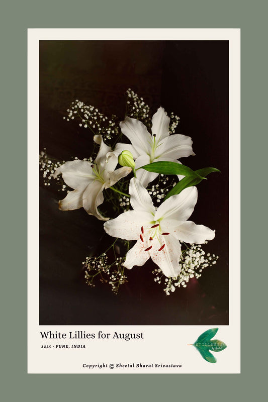 White lilies on a dark background with text 'White Lillies for August' and a Stillness by Sheetal brand logo.