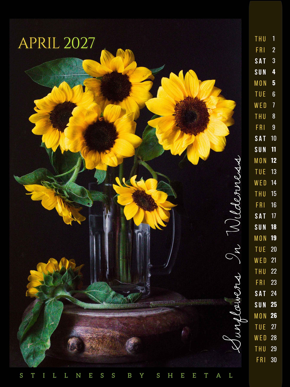 April calendar page, "Sunflowers in Wilderness" — sunflowers turning in every direction in a glass beer mug on a wooden stand, against black, fine art still life photograph by Stillness by Sheetal