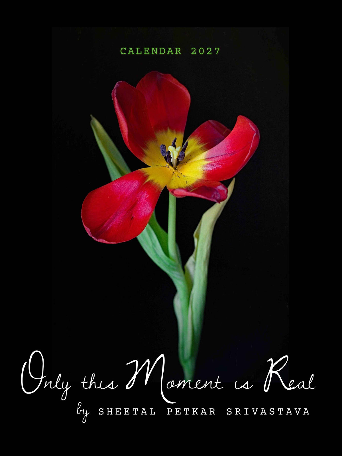 Calendar 2027 cover, "Only This Moment Is Real," a single red and yellow tulip in bloom against a black background, fine art still life photography by Sheetal Petkar Srivastava
